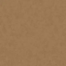 SD3 009