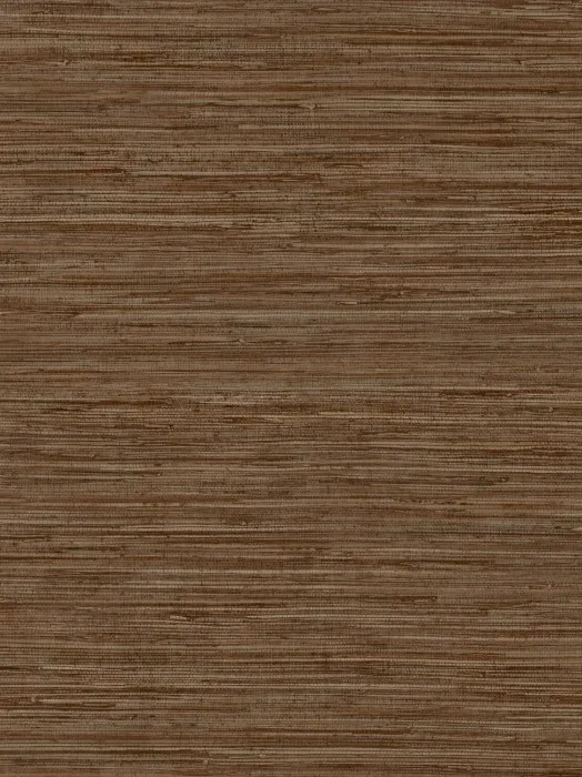 DR1206