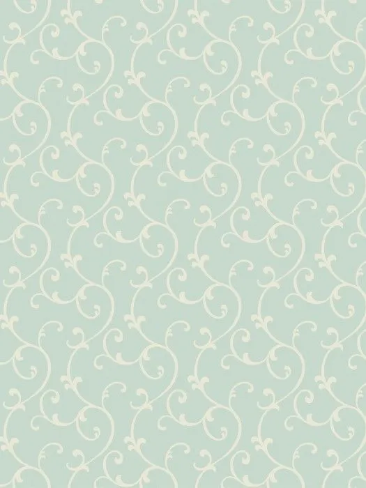 SW5 006