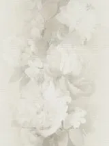 12243-02