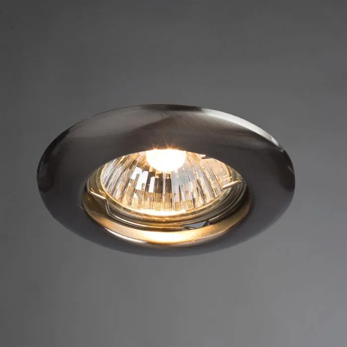 Точечный встраиваемый светильник Arte Lamp PRAKTISCH A1203PL-1SS | Дом Декора