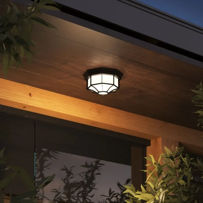 Уличный потолочный светильник Arte Lamp PEGASUS A3100PL-1BK | Дом Декора