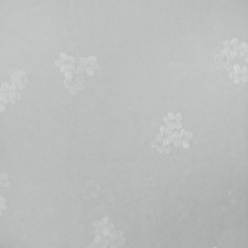 5081-3